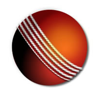 cricket ball