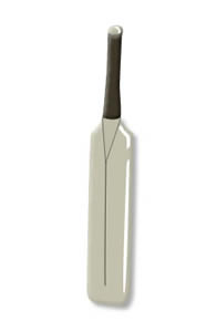 cricket bat