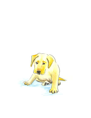 Puppy
