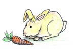 rabbit and carrot